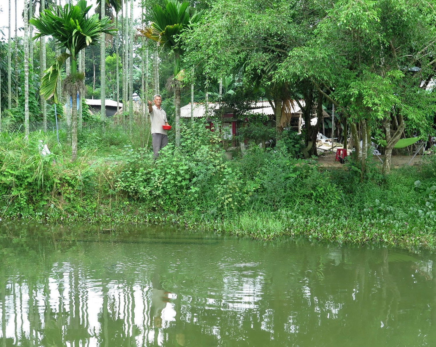 Làm giàu với mô hình kinh tế trang trại (30/7/2019)